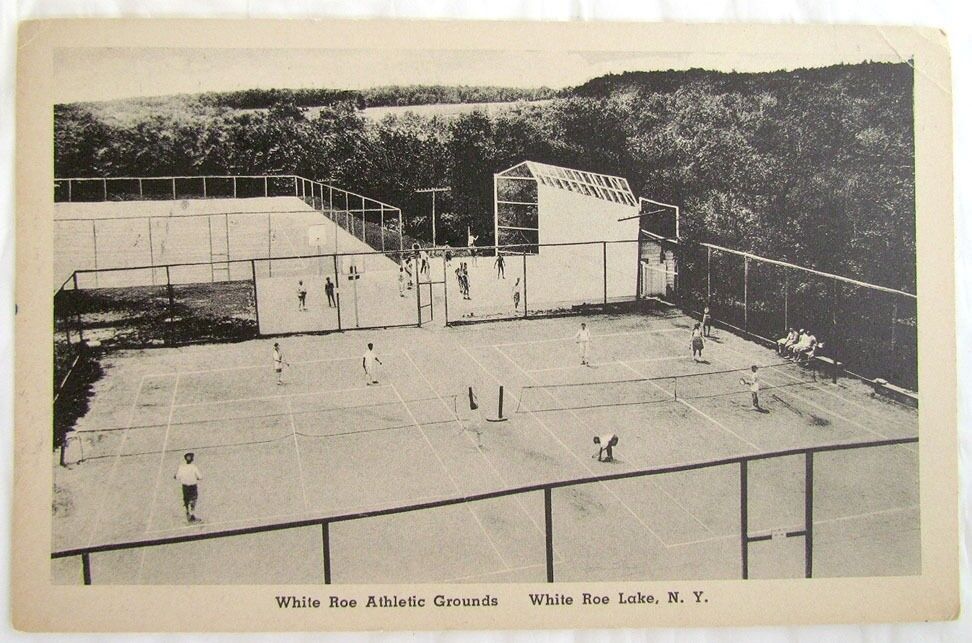 WHITE ROE ATHLETIC GROUNDS WHITE ROE LAKE N.Y. VINTAGE POSTCARD