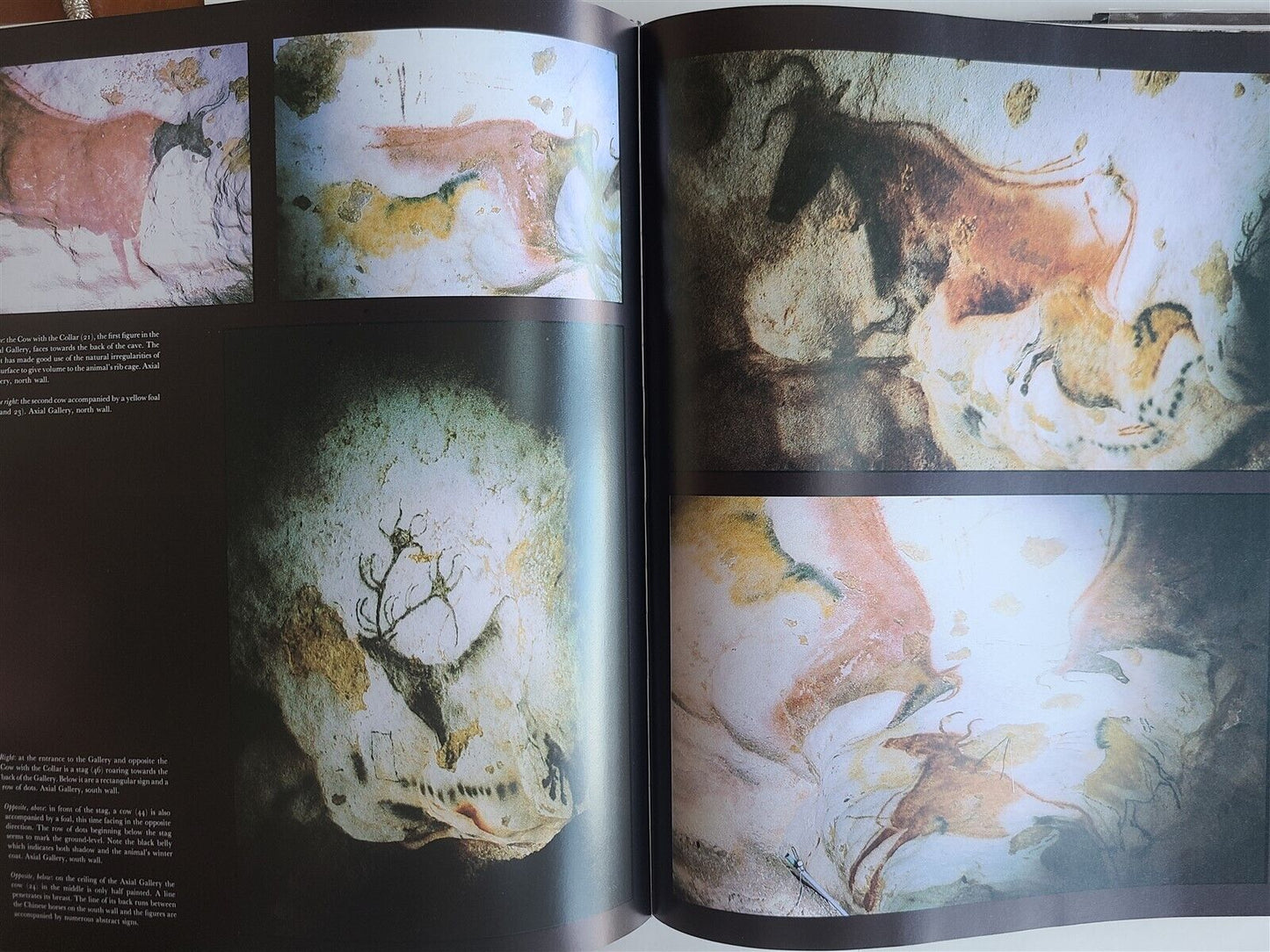 THE CAVE of LASCAUX the FINAL PHOTOGRAPHS by MARIO RUSPOLI ILLUSTRATED FOLIO