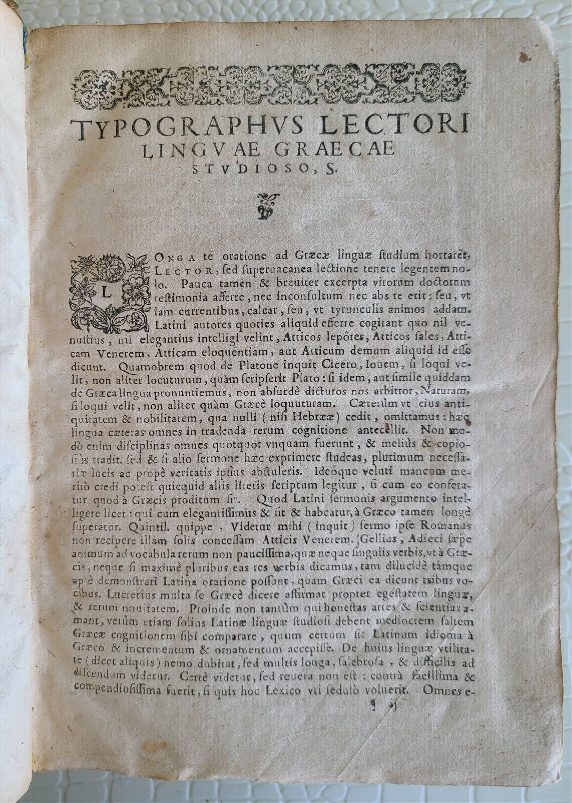 1623 GREEK DICTIONARY antique 17th century Lexicon Graecolatinum VELLUM BINDING