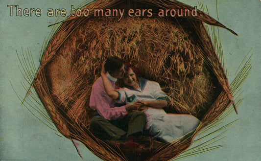 TOO MANY EARS AROUND ROMANTIC 1916 ANTIQUE POSTCARD montage collage CORK CANCEL