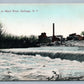 CARTHAGE NY SCENE ON BLACK RIVER ANTIQUE POSTCARD