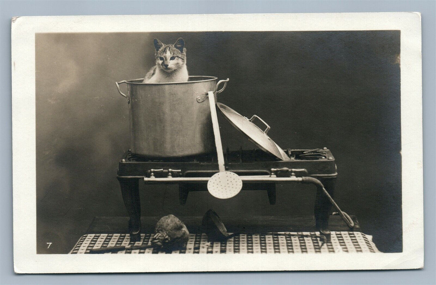 CAT IN COOKING POT ANTIQUE REAL PHOTO POSTCARD RPPC