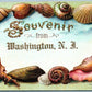 WASHINGTON NJ SHELL BORDERS ANTIQUE POSTCARD