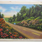 VINTAGE 1959 POSTCARD GREETINGS FROM DALEVILLE PA