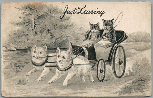 CATS CARRIAGE ANTIQUE POSTCARD