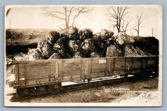 EXAGGERATED STRAWBERRIES 1911 ANTIQUE REAL PHOTO POSTCARD RPPC montage railroad