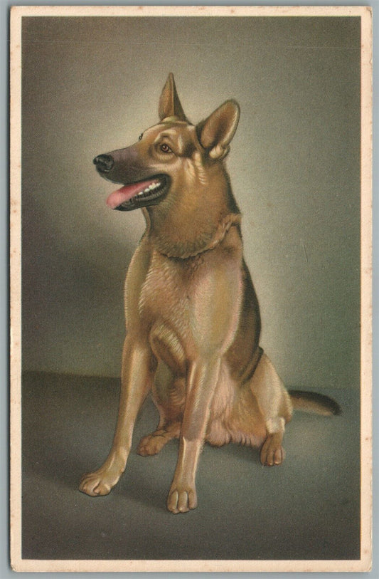 GERMAN SHEPPERD DOG ANTIQUE BELGIAN POSTCARD