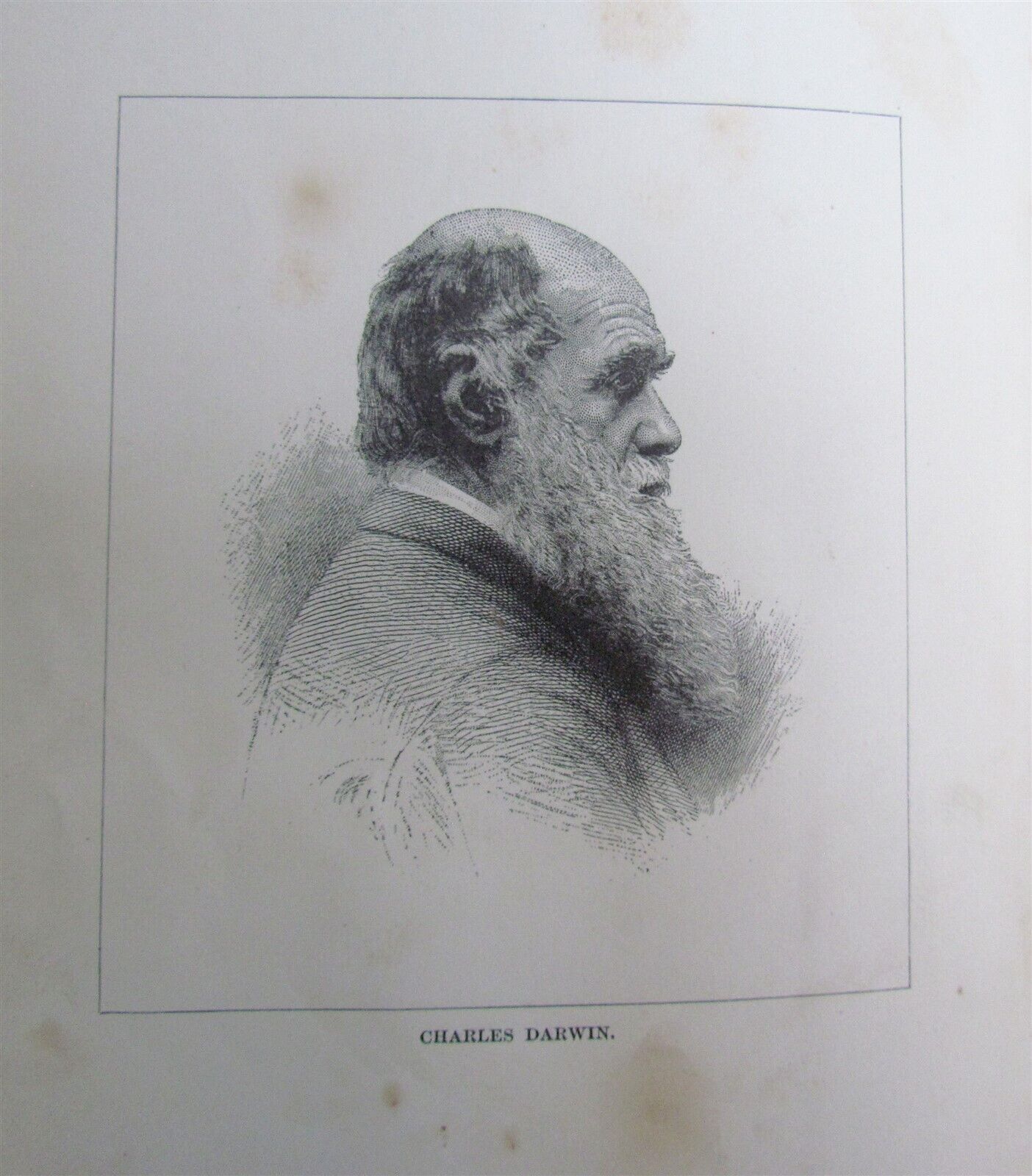 1880 WHAT MR. DARWIN SAW IN HIS VOYAGE ROUND THE WORLD IN SHIP BEAGLE ANTIQUE