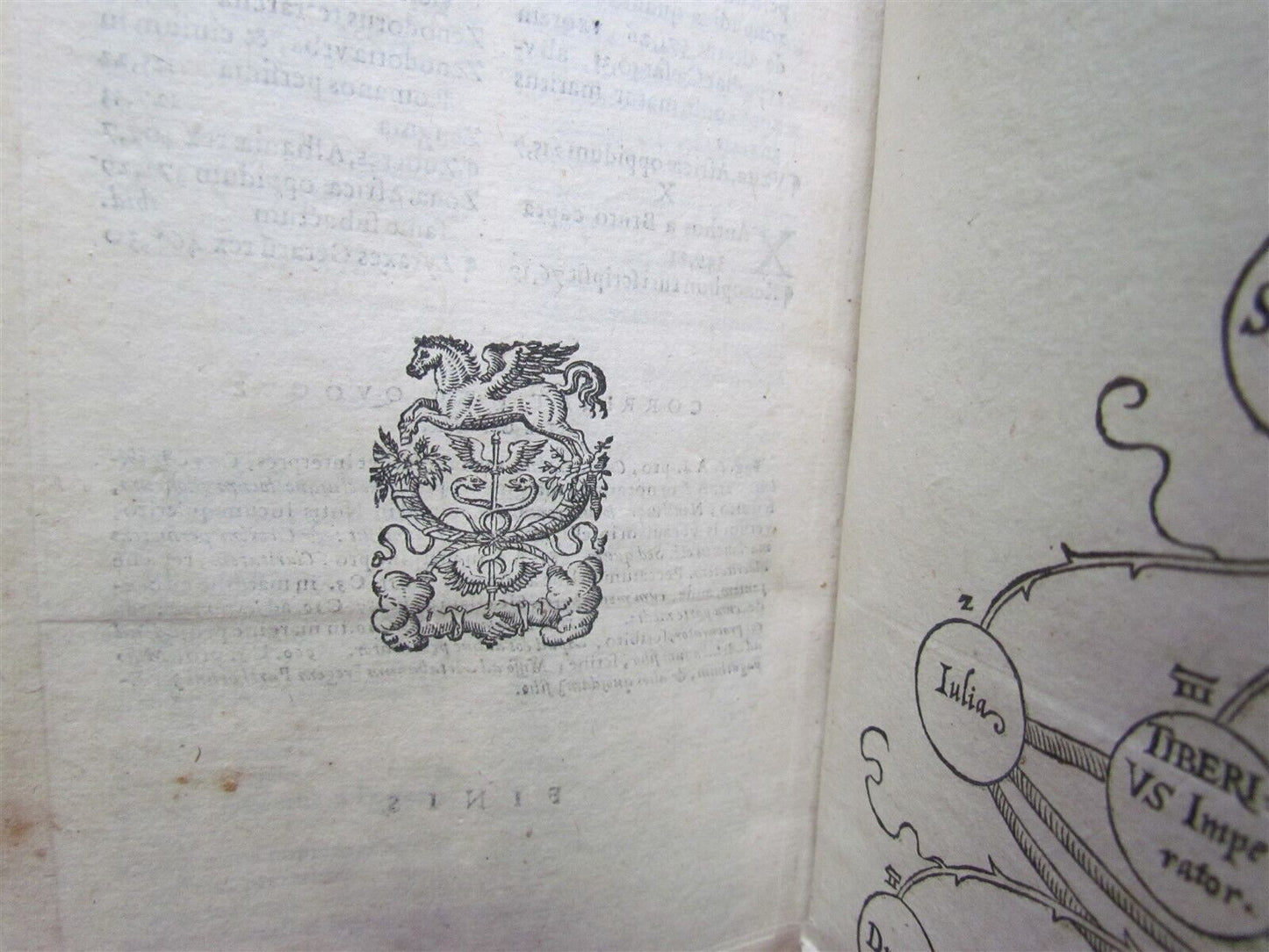 1592 ROMAN HISTORY by Dion Cassius antique VELLUM BOUND 16th CENTURY