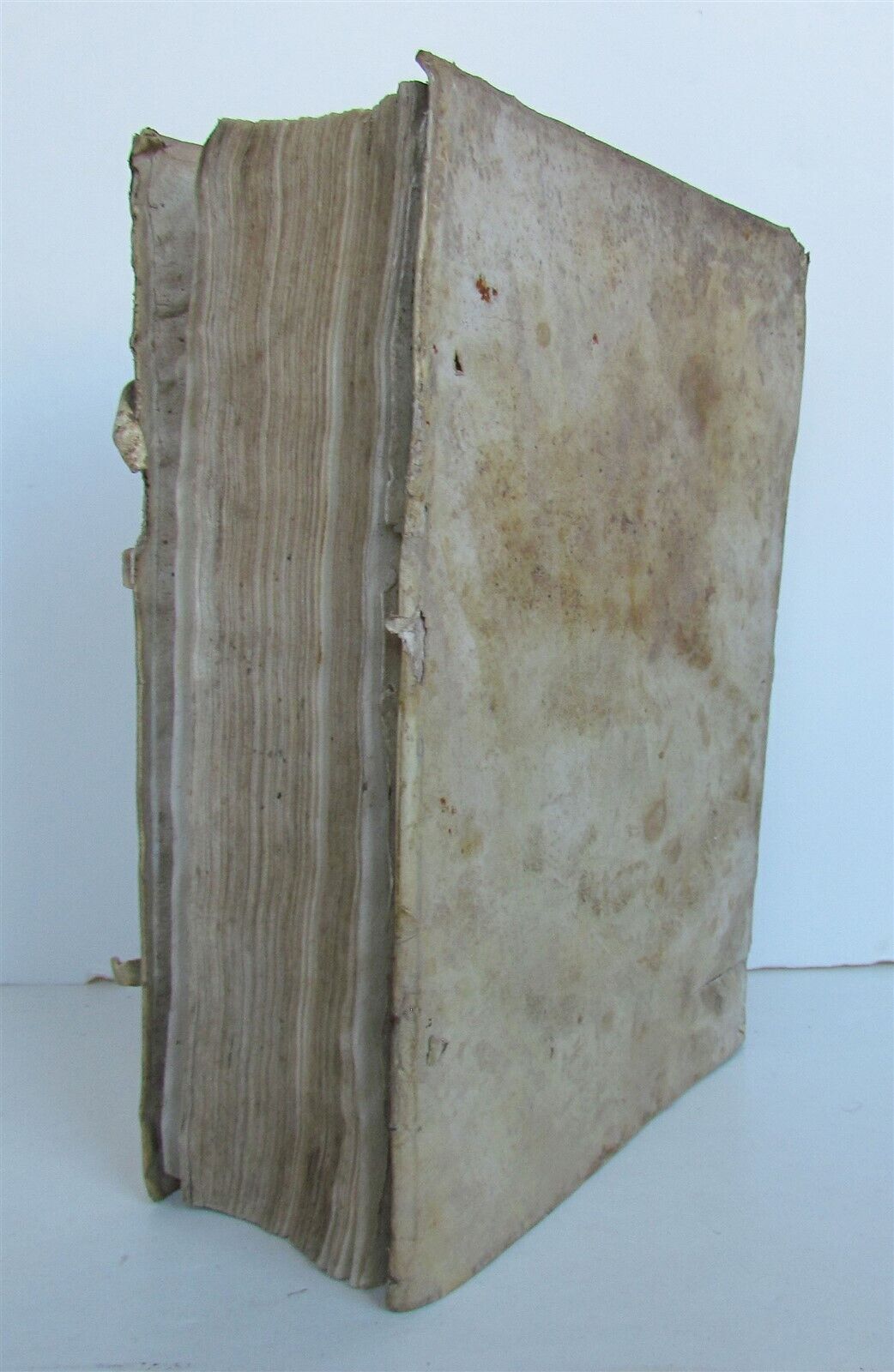 1586 PRAYER MANUAL by Spanish theologian Martin de Azpilcueta antique VELLUM