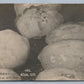 SUNBURY PA HAIL STORM 1910 ANTIQUE REAL PHOTO POSTCARD RPPC
