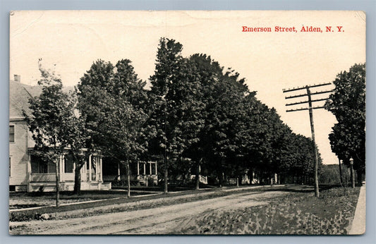 ALDEN NY EMERSON STREET ANTIQUE POSTCARD