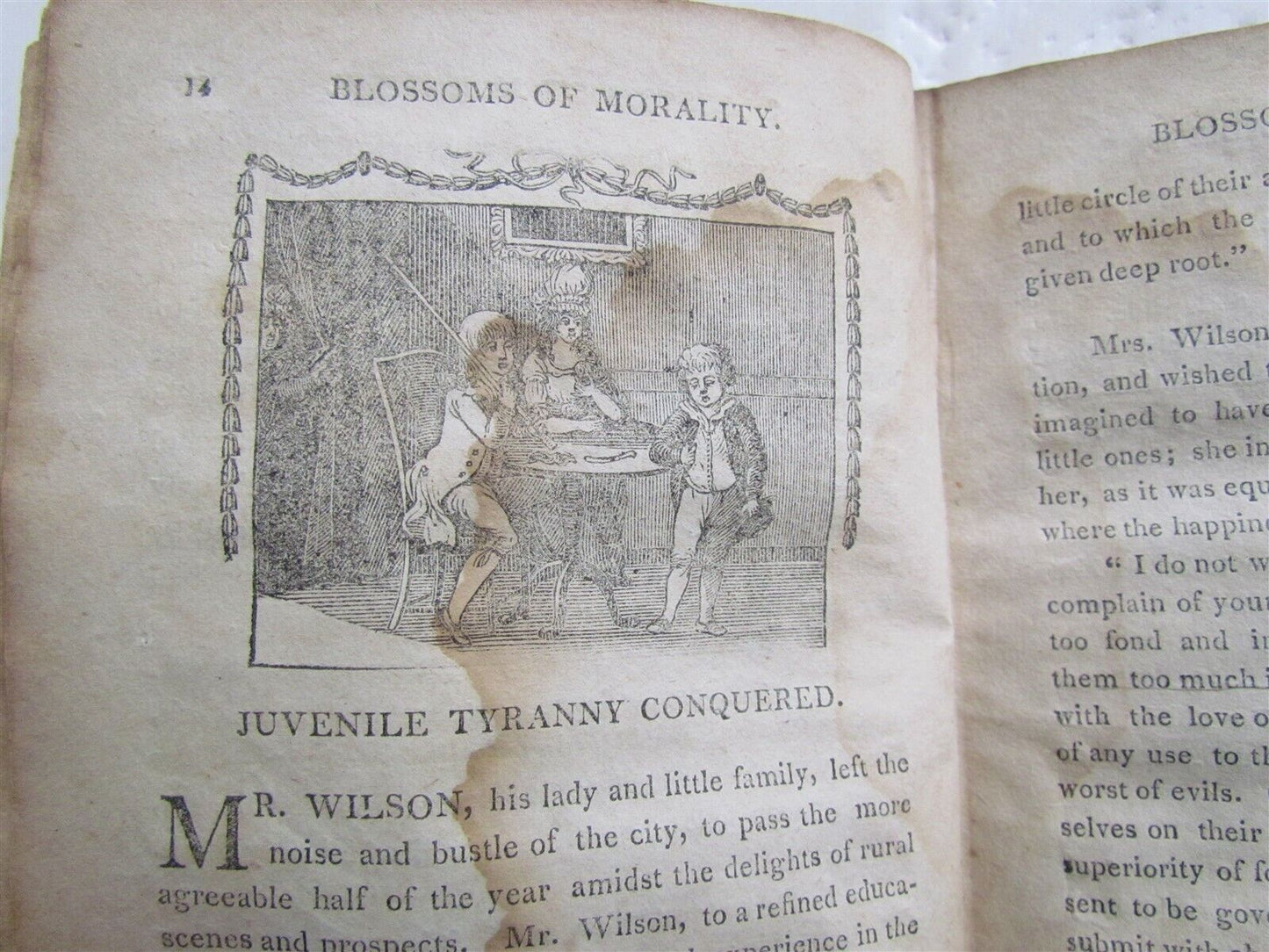 1810 BLOSSOMS of MORALITY antique PHILADELPHIA AMERICANA illustrated