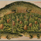 PINEAPPLE GROVE FL ALLIGATOR BORDERS ANTIQUE POSTCARD