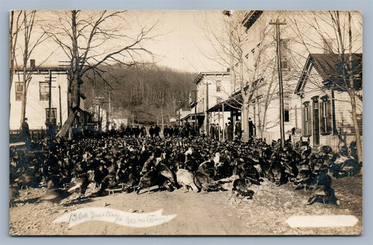 STREET SCENE w/ TURKEYS 1910 ANTIQUE REAL PHOTO POSTCARD RPPC