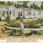 JACKSONVILLE FL GREEN ACRES MOTOR COURT 1938 VINTAGE POSTCARD