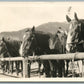 WOLF WYO EATONS RANCH HORSES VINTAGE REAL PHOTO POSTCARD RPPC
