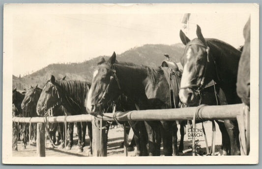 WOLF WYO EATONS RANCH HORSES VINTAGE REAL PHOTO POSTCARD RPPC