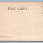 Mrs. THEODORE ROOSEVEL ANTIQUE REAL PHOTO POSTCARD PATRIOTIC RPPC