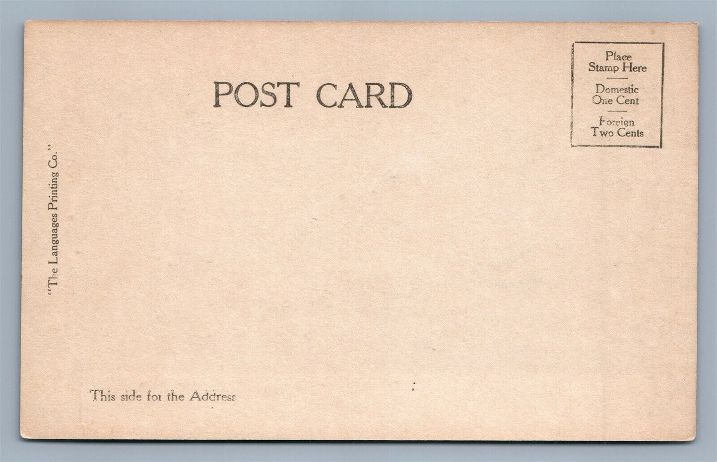 Mrs. THEODORE ROOSEVEL ANTIQUE REAL PHOTO POSTCARD PATRIOTIC RPPC