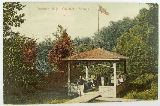 ANTIQUE 1906 POSTCARD CHALYBEATE SPRINGS BRUSHTON N.Y.