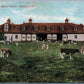GENEVA NY WHITE SPRINGS DAIRY FARM 1909 ANTIQUE POSTCARD w/ CORK CANCEL