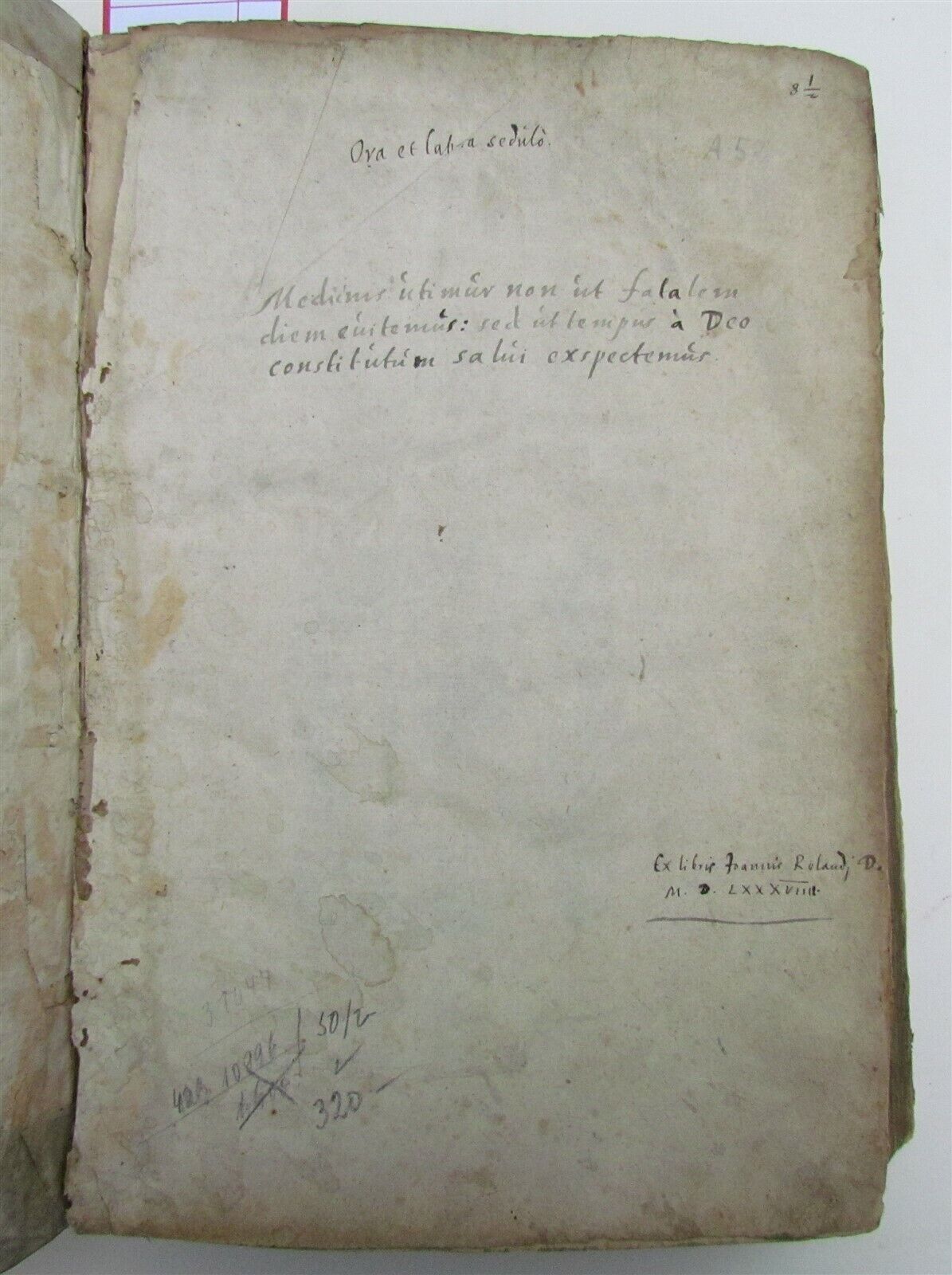 1574 MEDICAL TREATISE DONATI ALTOMARE antique VELLUM BOUND FOLIO rare