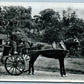 IRELAND EVOLUTION OF IRISH JAUNTING CAR ANTIQUE REAL PHOTO POSTCARD RPPC