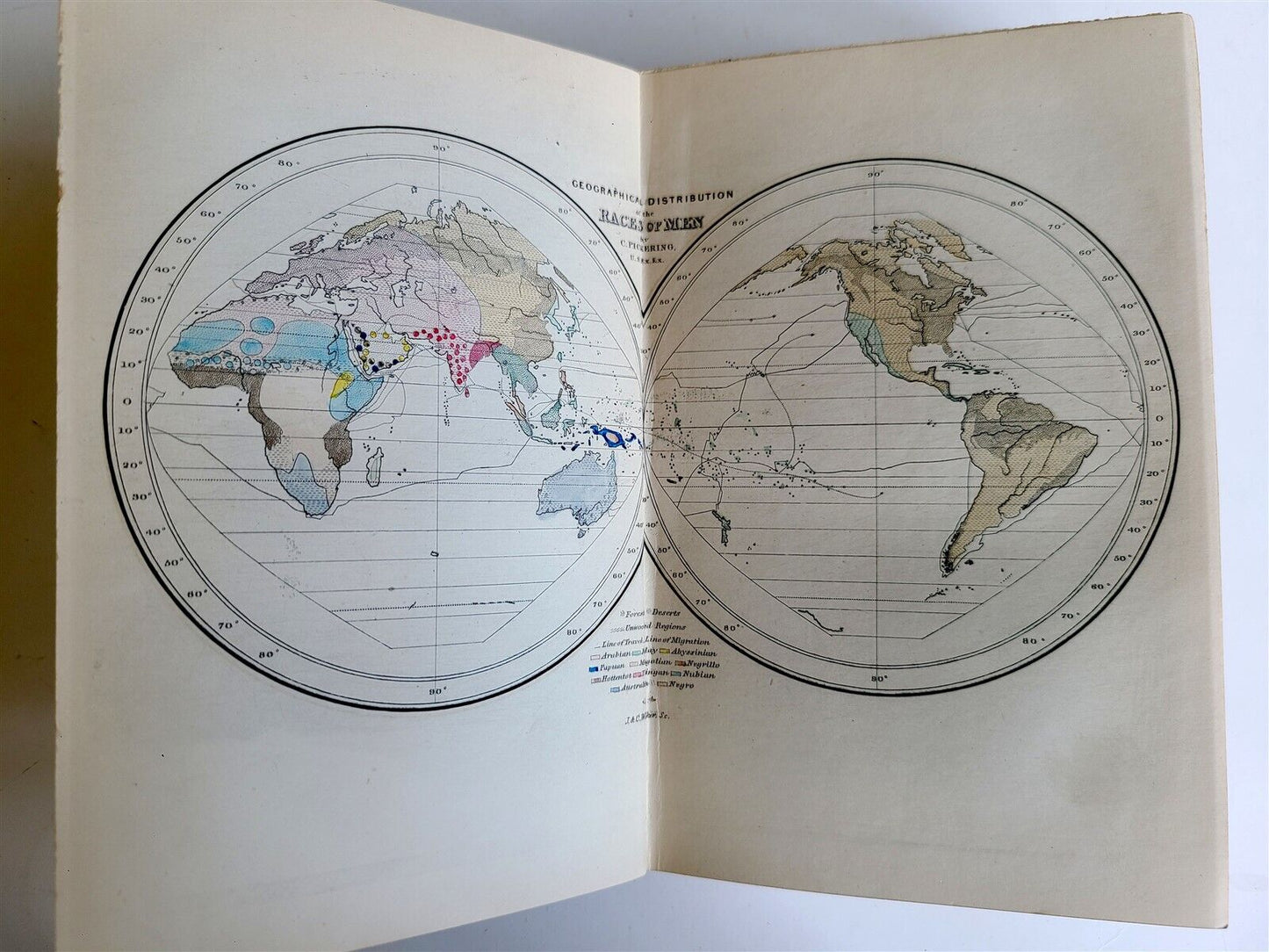 1895 RACES of MAN by CHARLES PICKERING M.D. antique ILLUSTRATED