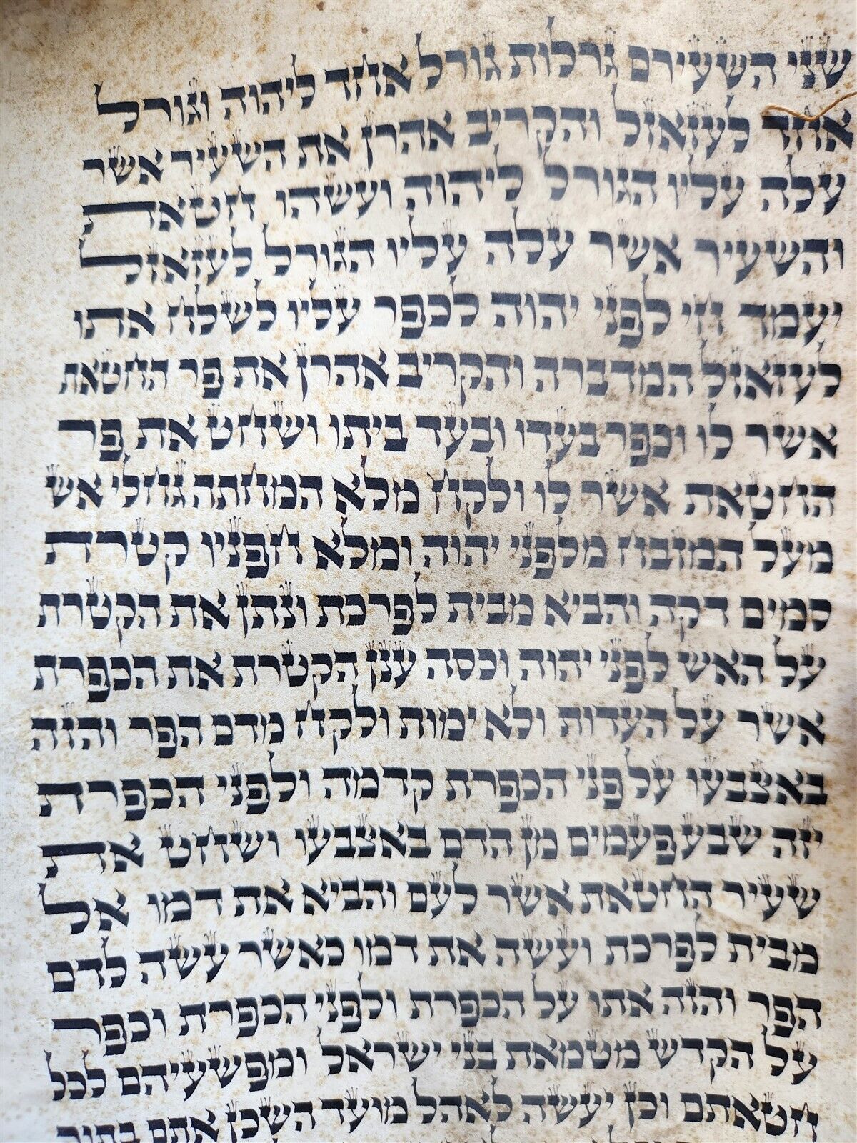 TORAH SCROLL LARGE FRAGMENT MANUSCRIPT on VELLUM antique BIBLE w/ MANTLE