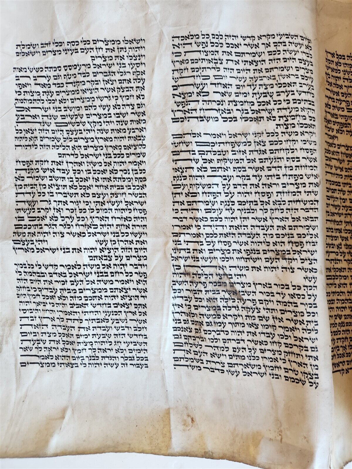 TORAH SCROLL FRAGMENT MANUSCRIPT on VELLUM antique BIBLE EXODUS