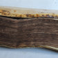 1585 BIBLE in LATIN printed in LONDON antique VELLUM 16th CENTURY NEW TESTAMENT