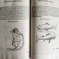1551 RUDIMENTA MATHEMATICA by SEBASTIAN MUNSTER antique ILLUSTRATED 1st EDITION