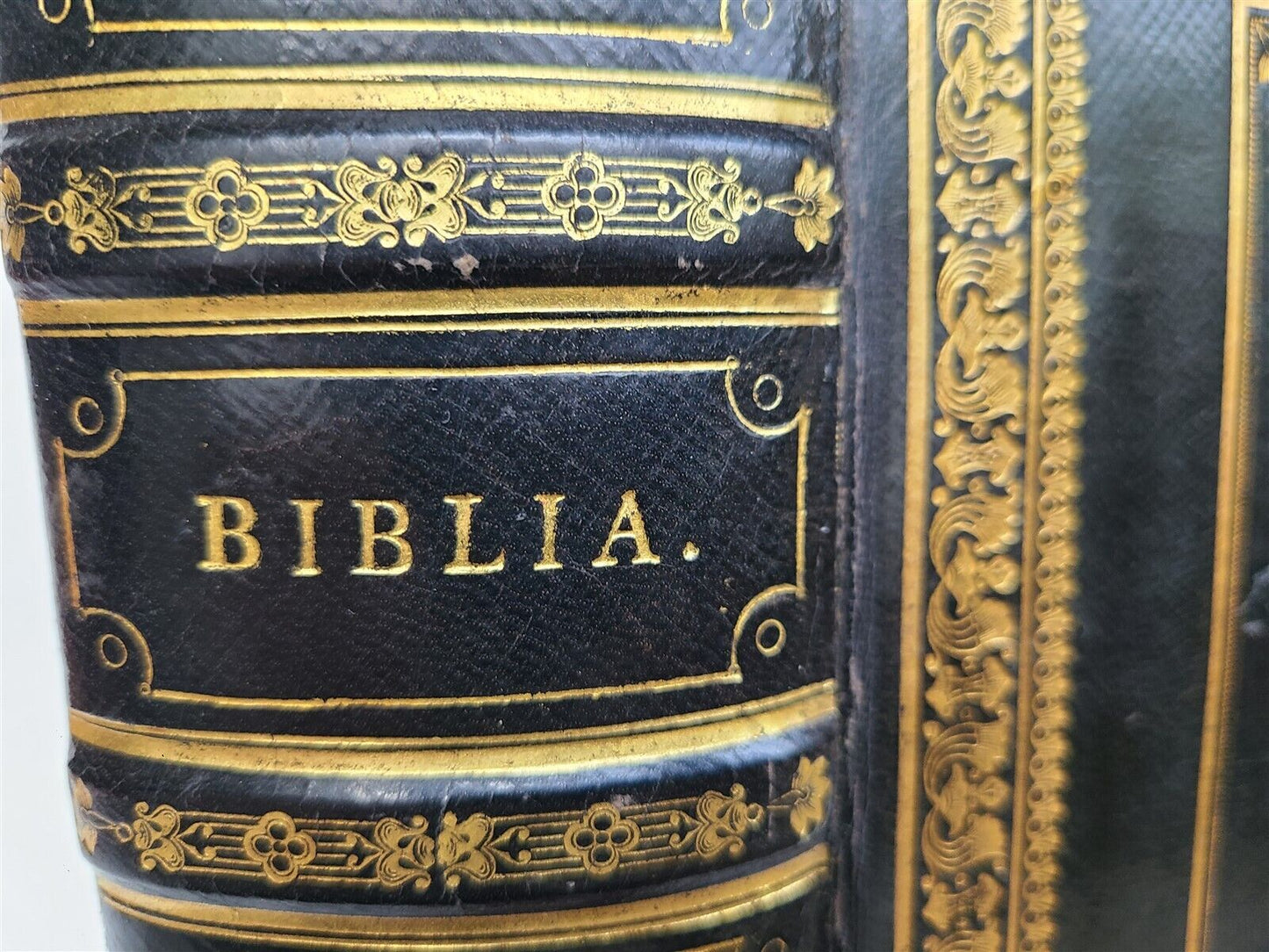 1831 BIBLE in GERMAN BEAUTIFULLY ILLUSTRATED antique GILT BINDING