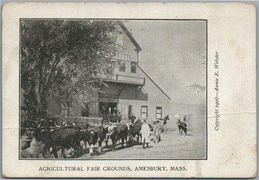 AMESBURY MA AGRICULTURAL FAIR GROUNDS ANTIQUE POSTCARD