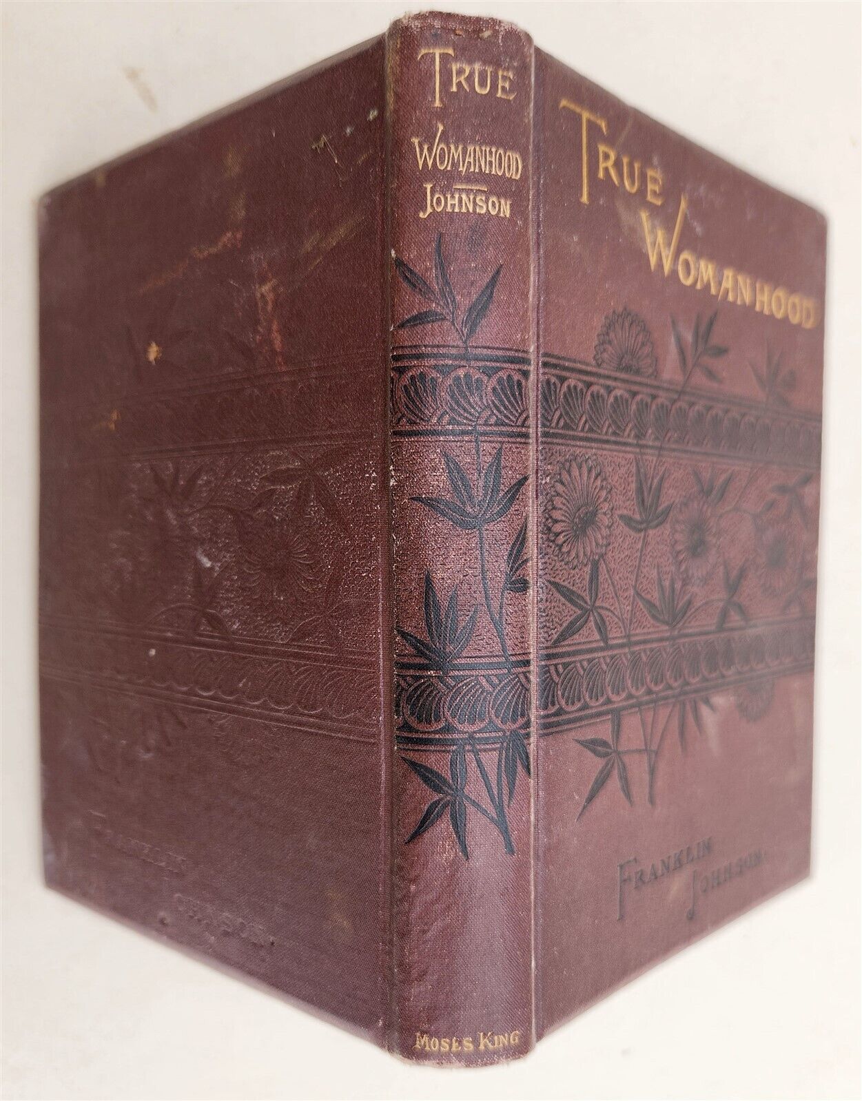 1882 TRUE WOMANHOOD by Franklin Johnson SUFFRAGE antique