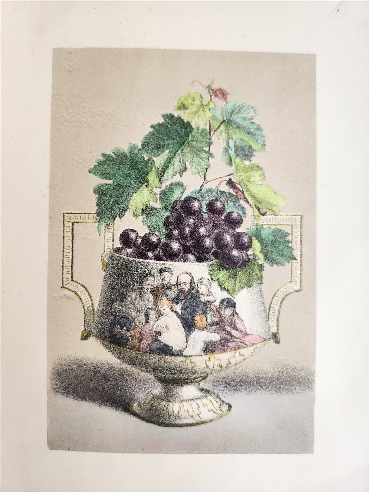 1871 FLOWER EMBLEMS ILLUSTRATED antique in ENGLISH