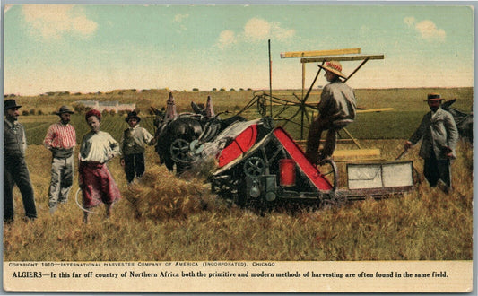 ALGIERS AFRICA HARVESTING ANTIQUE POSTCARD