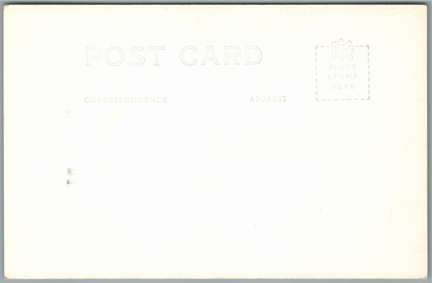 SEA BEES ON GUARD ANTIQUE REAL PHOTO POSTCARD RPPC