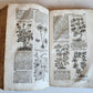1744 THEATRUM BOTANICUM ILLUSTRATED GERMAN HERBAL antique PIGSKIN BOUND FOLIO