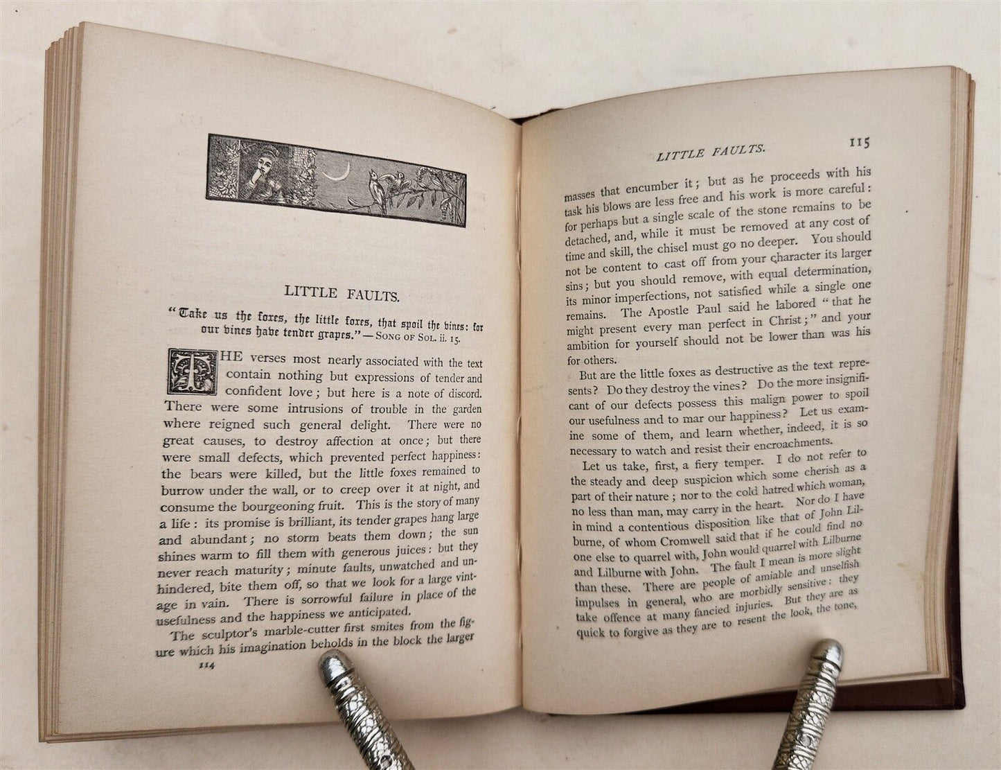 1882 TRUE WOMANHOOD by Franklin Johnson SUFFRAGE antique