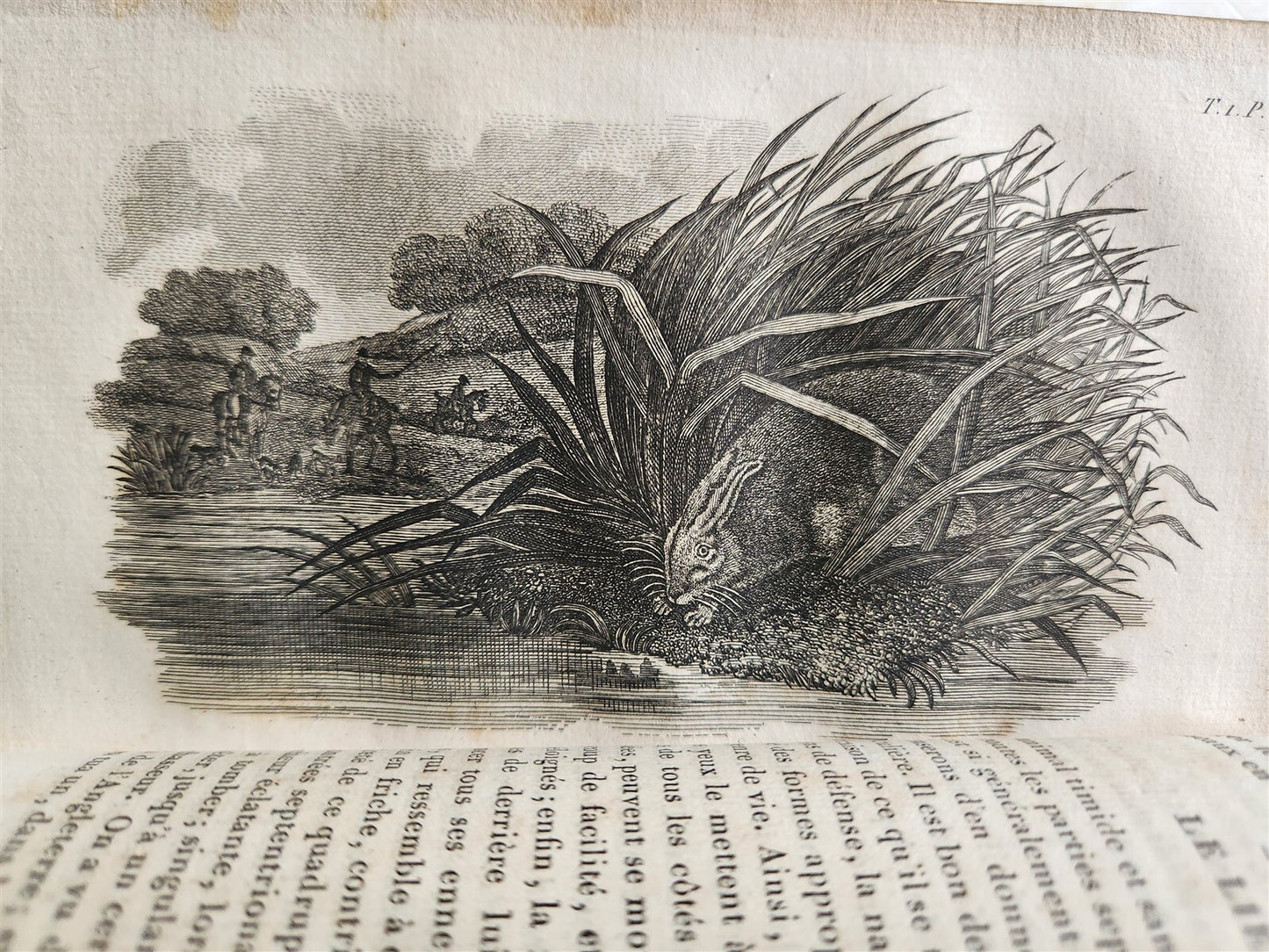 1818 HISTORY of ANIMALS ILLUSTRATED w/ 65 PLATES antique 6 VOLUMES