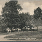 MARSHALLS CREEK PA HORSEBACK RIDING ANTIQUE POSTCARD