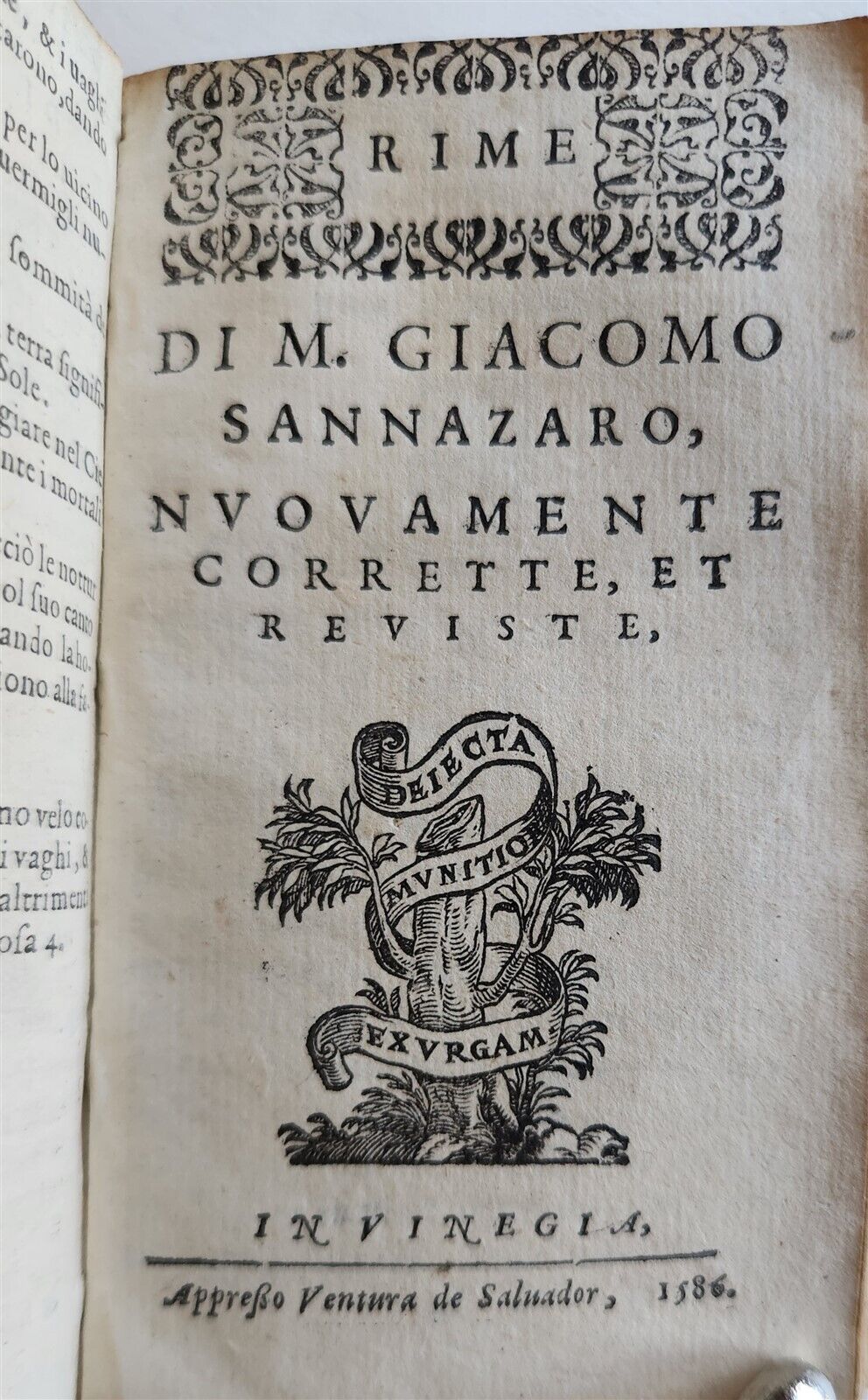 1586 IMPORTANT ITALIAN RENAISSANCE WORKS antique VELLUM Bembo Sansoiuno Ariosto