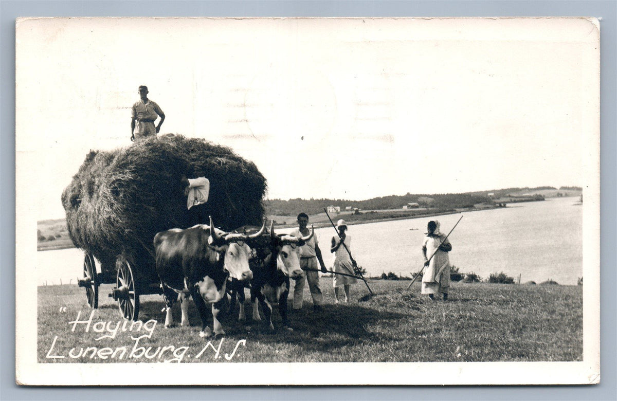 LUNENBURG NS CANADA HAYING VINTAGE REAL PHOTO POSTCARD RPPC