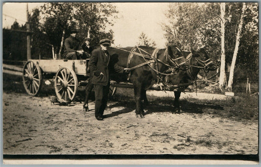 NORTHERN MINNESOTA MN COW DRAWN WAGON ANTIQUE REAL PHOTO POSTCARD RPPC