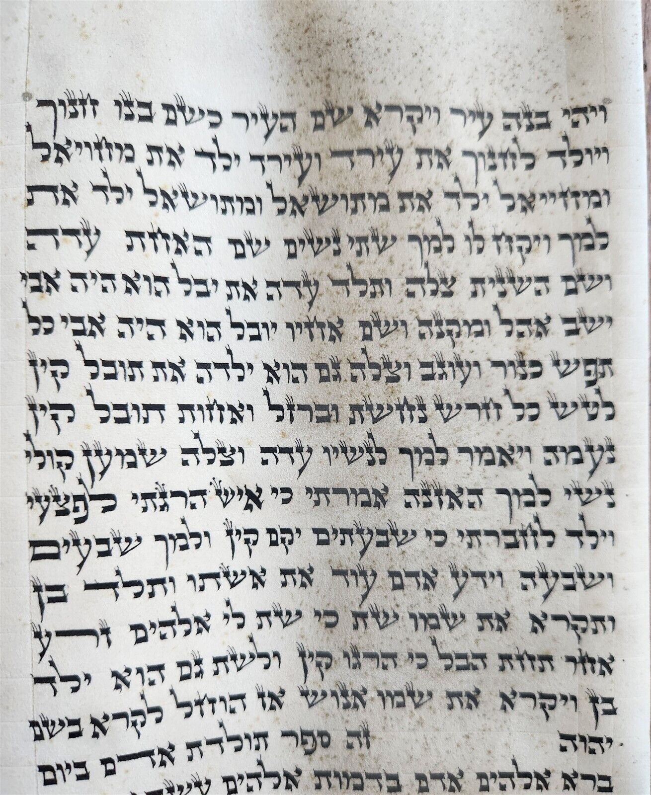 TORAH SCROLL FRAGMENT MANUSCRIPT on VELLUM antique BIBLE GENESIS ADAM & EVE