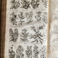 1756 BRITISH HERBAL J.HILL antique ILLUSTRATED FOLIO HISTORY OF PLANTS & TREES