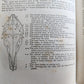 1843 THE HORSE by WILLIAM YOUATT antique ILLUSTRATED