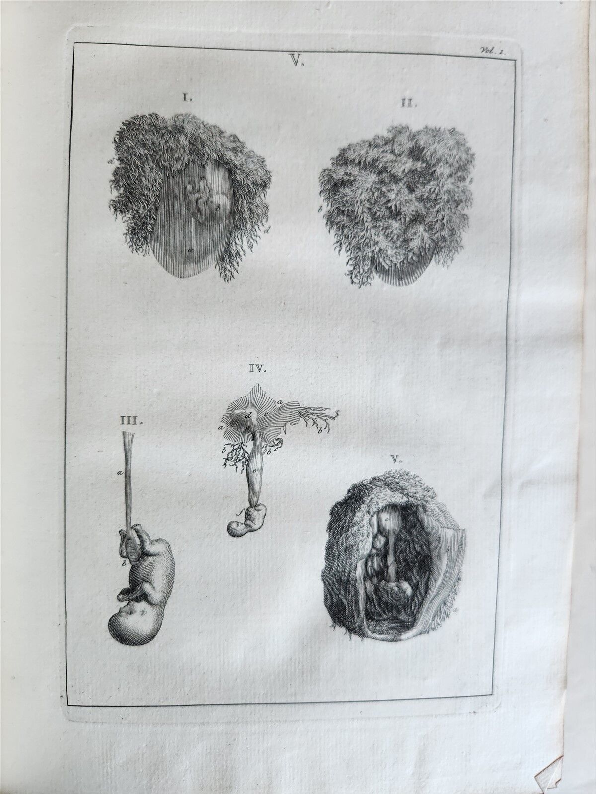 1754 ANATOMY DENTISTRY BOTANY antique ILLUSTRATED Continet anatomica physiology